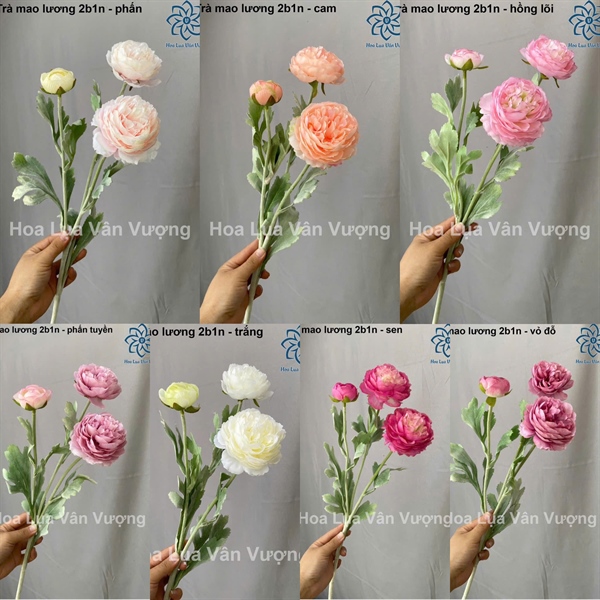 Trà mao lương 2b1n - Hoa cành ngắn - Hoa Lụa Vân Vượng