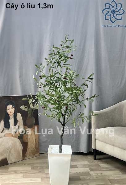 Cây ô liu 1,3m - Không chậu - Cây - Hoa Lụa Vân Vượng