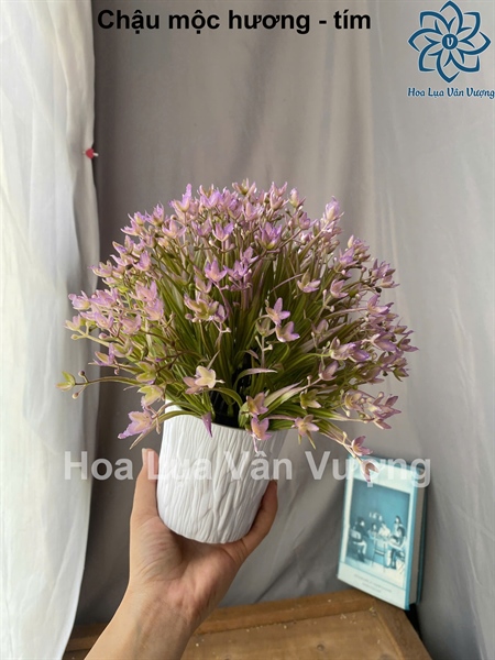 Chậu mộc hương - Chậu để bàn - Hoa Lụa Vân Vượng