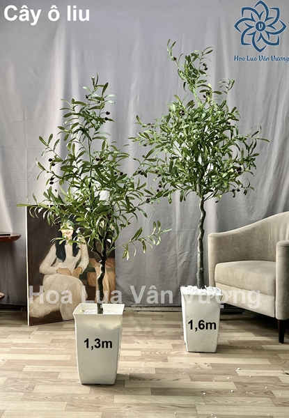Cây ô liu 1,6m - Không chậu - Cây - Hoa Lụa Vân Vượng