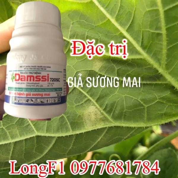 THUỐC TRỪ BỆNH DAMSSI 720SC chai 50ml - đặc trị giả sương mai