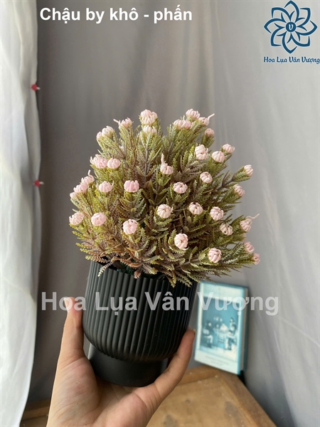 Chậu by khô - Chậu để bàn - Hoa Lụa Vân Vượng