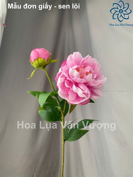 Mẫu đơn giấy - Sen lõi - Hoa cành dài - Hoa Lụa Vân Vượng