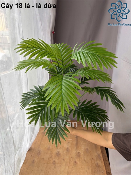 Cây 18 lá - lá dừa - Cây - Hoa Lụa Vân Vượng