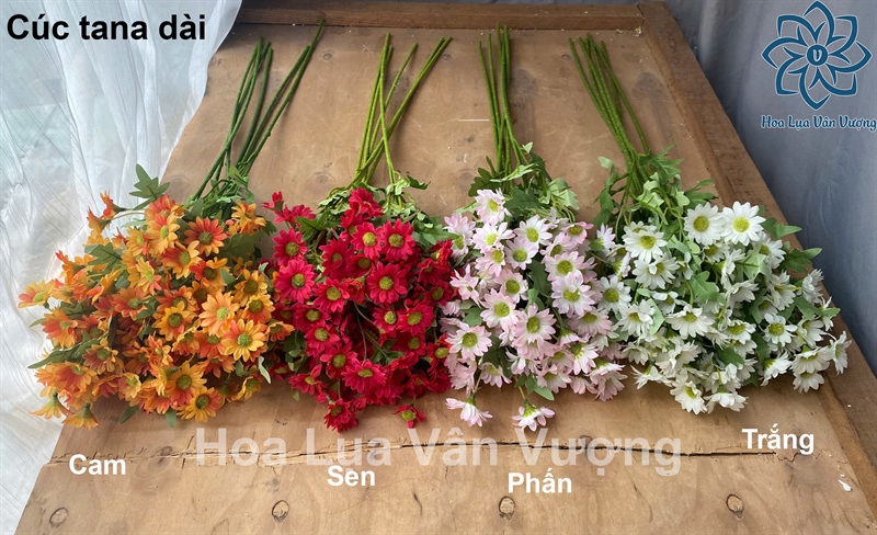 Cúc tana dài - Hoa cành dài - Hoa Lụa Vân Vượng