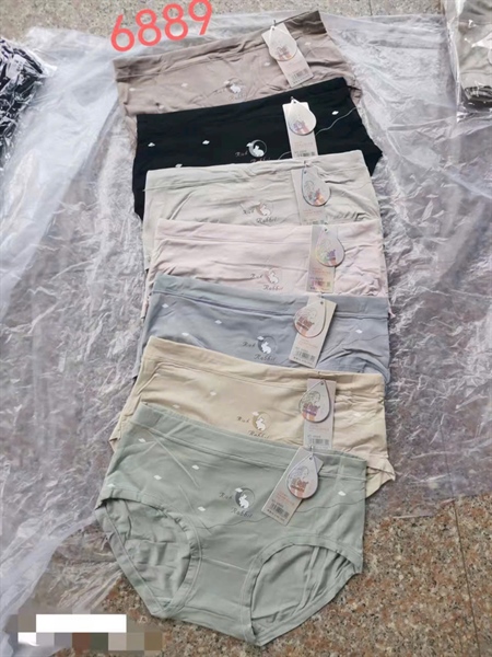 6889- q coton kháng khuẩn