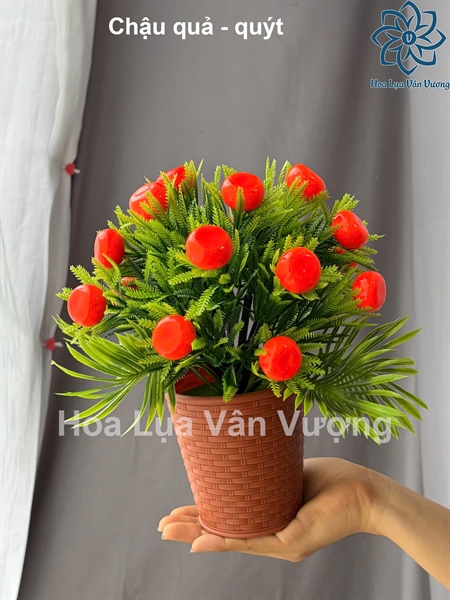 Chậu quả - quýt - Chậu để bàn - Hoa Lụa Vân Vượng