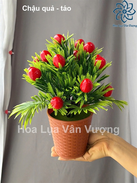 Chậu quả - táo - Chậu để bàn - Hoa Lụa Vân Vượng