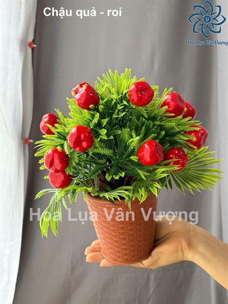 Chậu quả - roi - Chậu để bàn - Hoa Lụa Vân Vượng