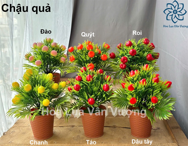 Chậu quả - Chậu để bàn - Hoa Lụa Vân Vượng