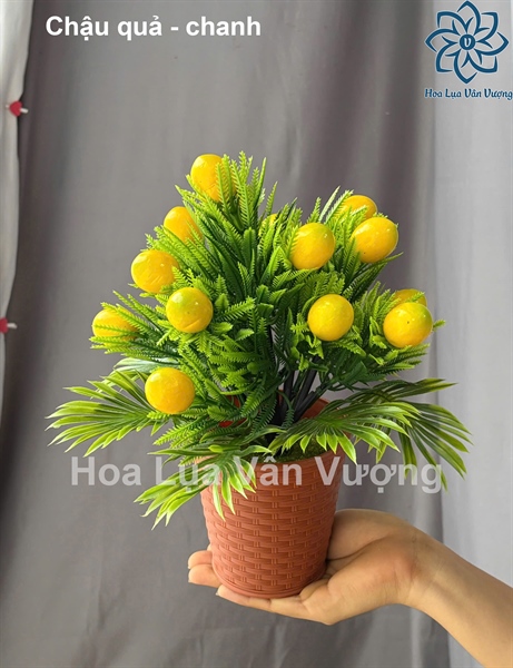 Chậu quả - chanh - Chậu để bàn - Hoa Lụa Vân Vượng