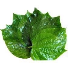 Lá lốt 茎あリテーロシト ( túi khoảng 100g )