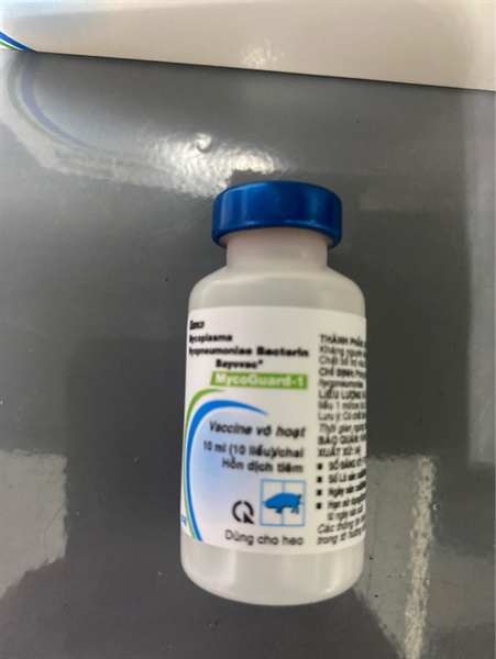 Suyễn bayer L10