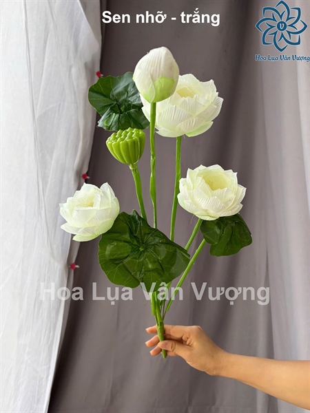 Sen nhỡ - Sen - Hoa Lụa Vân Vượng