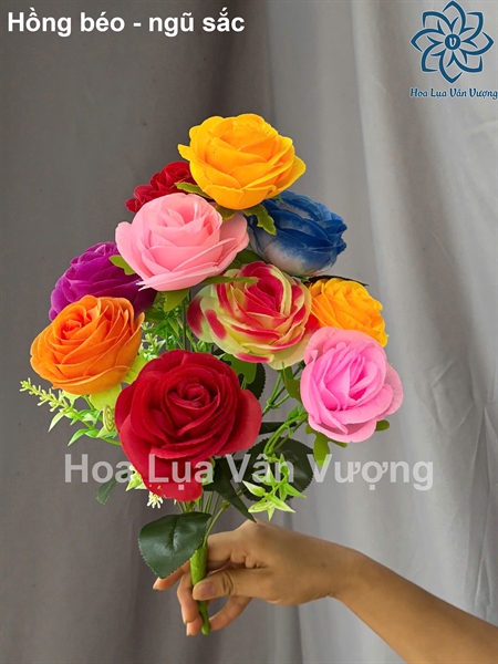 Hồng béo - ngũ sắc - Hoa cành ngắn - Hoa Lụa Vân Vượng