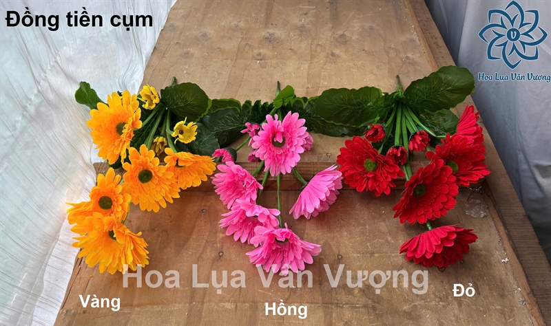 Đồng tiền cụm - Hoa cành ngắn - Hoa Lụa Vân Vượng
