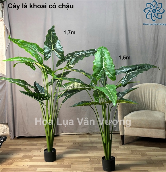 Cây lá khoai 1,7m - Cây - Hoa Lụa Vân Vượng