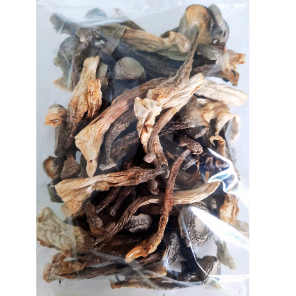 NẤM LỘC NHUNG KHÔ 50gr