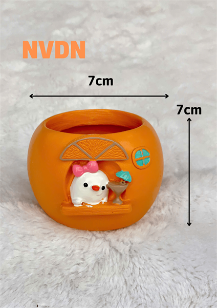 CHẬU NHÀ VỊT ĐỘI NƠ