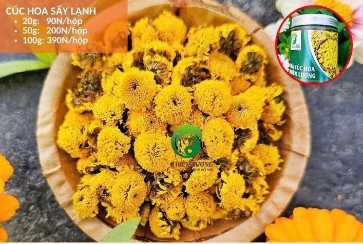 Hoa Cúc Sấy Lạnh - Thiên Lương