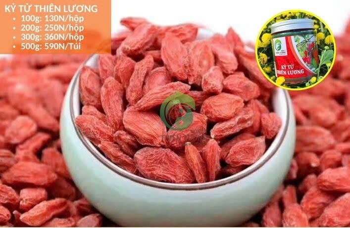 Kỷ Tử Thiên Lương