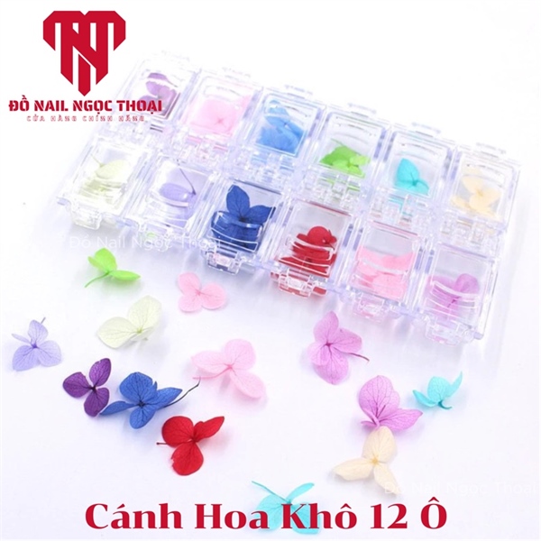 Cánh Hoa Khô 12 Ô