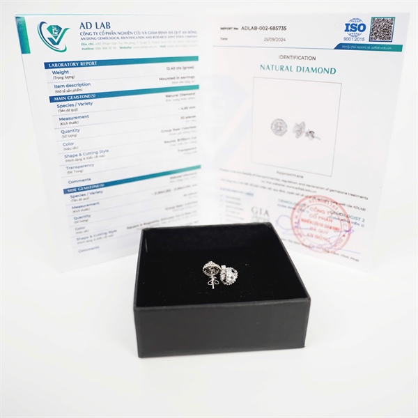 Bông tai kim cương KG +
