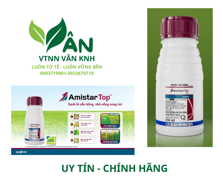 AMISTAR TOP 325SC 100ML