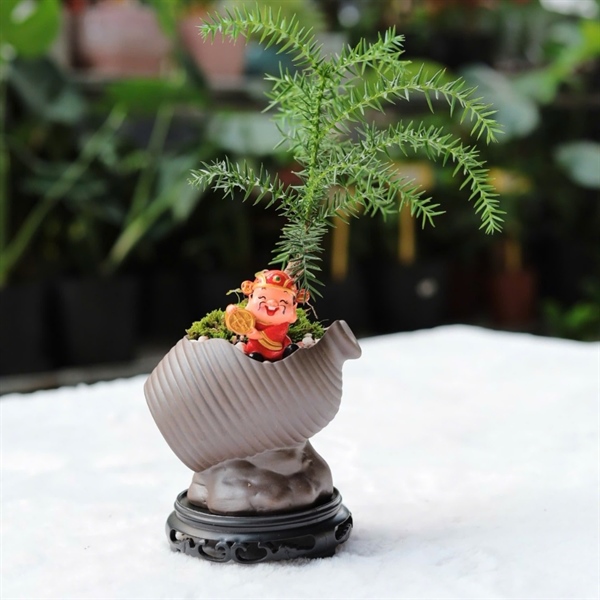 CHẬU LU XẺ MIX TÙNG BỒNG LAI THẦN TÀI