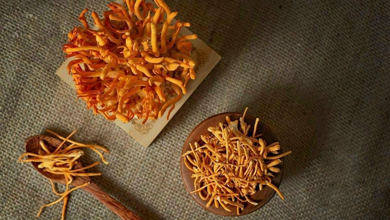 Nấm Đông Trùng Hạ Thảo Sấy Khô (Loại 1_10gr)