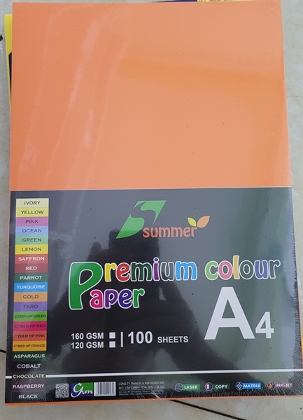 Bìa màu đặc biệt 100 tờ trộn 5 màu A4 8116