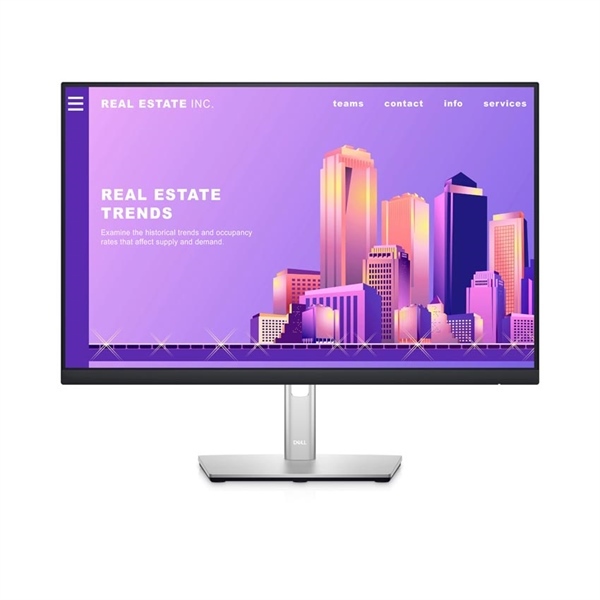 Màn hình máy tính Dell P2422H 23.8 inch fhd ips