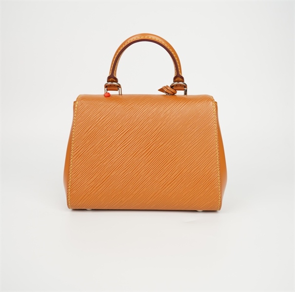 Túi LV Cluny vân nâu sz20 (Thuật) +