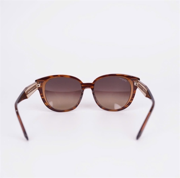 Kính Salvatore màu trà (SF895SA) (PN) +