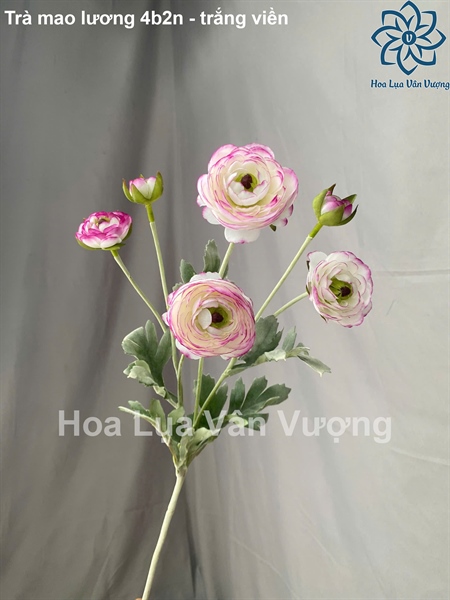 Trà mao lương 4b2n xịn - trắng viền - Hoa cành dài - Hoa Lụa Vân Vượng
