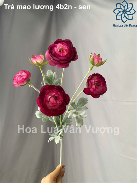 Trà mao lương 4b2n xịn - Sen - Hoa cành dài - Hoa Lụa Vân Vượng