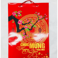 GIỎ GIẤYCHÚC MỪNG NĂM MỚI NGANG 41 X 36 X13