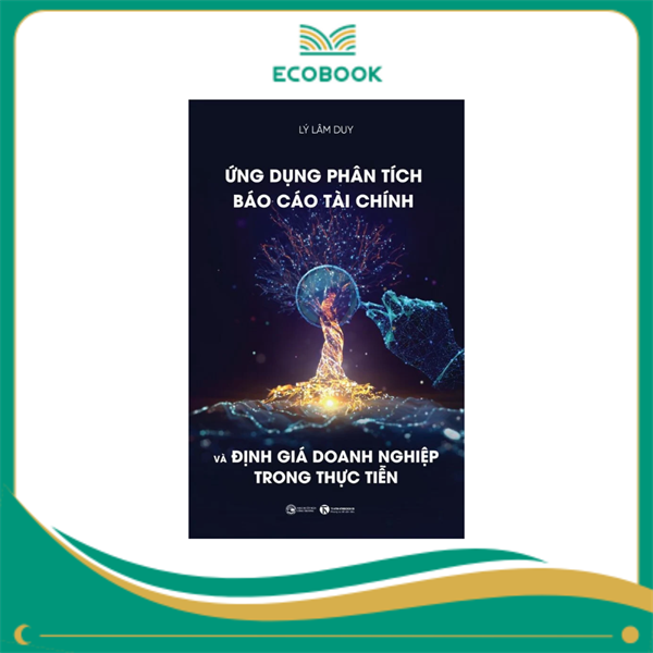 Ứng dụng phân tích báo cáo tài chính và định giá doanh nghiệp trong thực tiễn; 189k