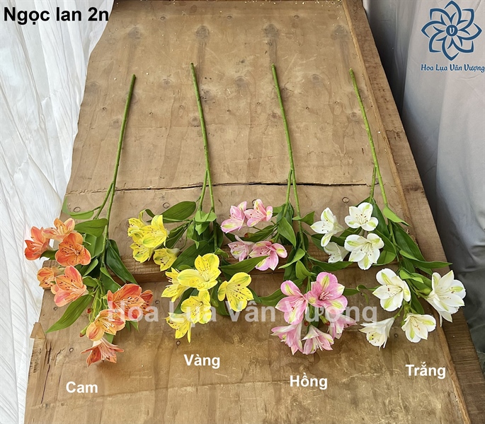 Ngọc lan 2n - Hoa cành dài - Hoa Lụa Vân Vượng
