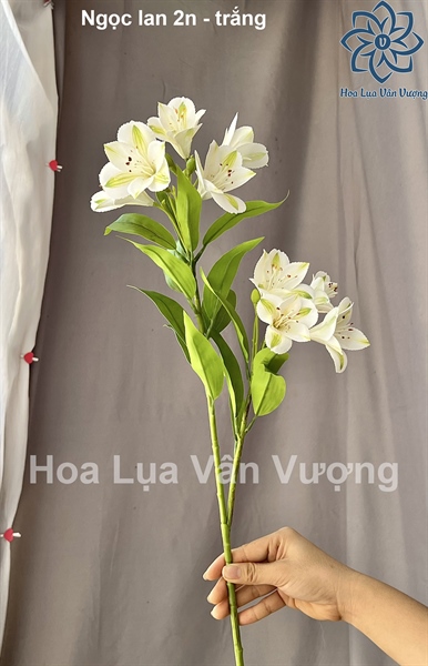 Ngọc lan 2n - trắng - Hoa cành dài - Hoa Lụa Vân Vượng
