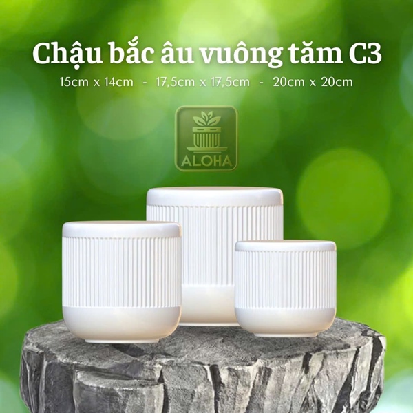 CHẬU BẮC ÂU VUÔNG TĂM