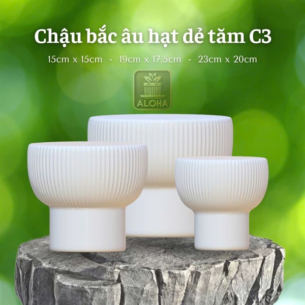 CHẬU BẮC ÂU HẠT DẺ TĂM