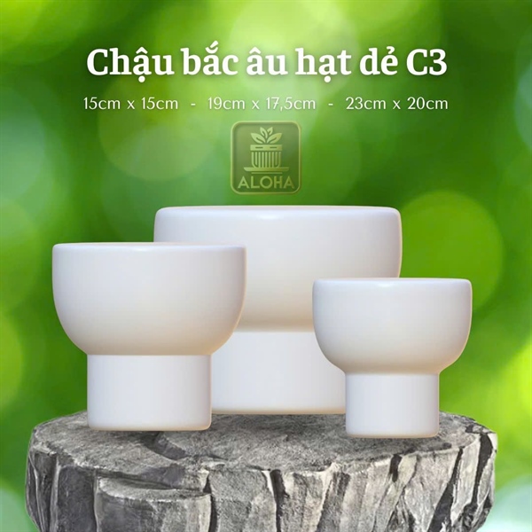 CHẬU BẮC ÂU HẠT DẺ
