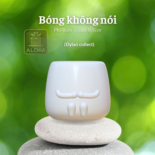 CHẬU BÓNG KHÔNG NÓI