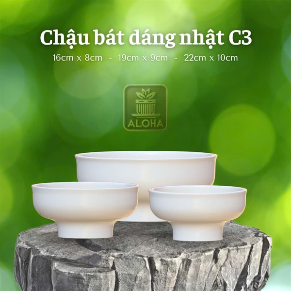CHẬU BÁT DÁNG NHẬT