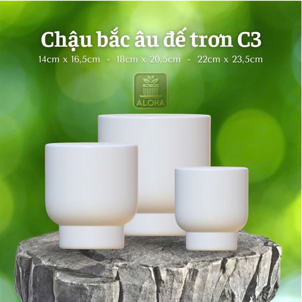 CHẬU BẮC ÂU ĐẾ TRƠN