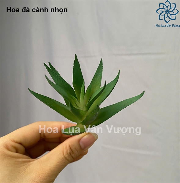 Hoa đá cánh nhọn - Hoa đá - Hoa Lụa Vân Vượng