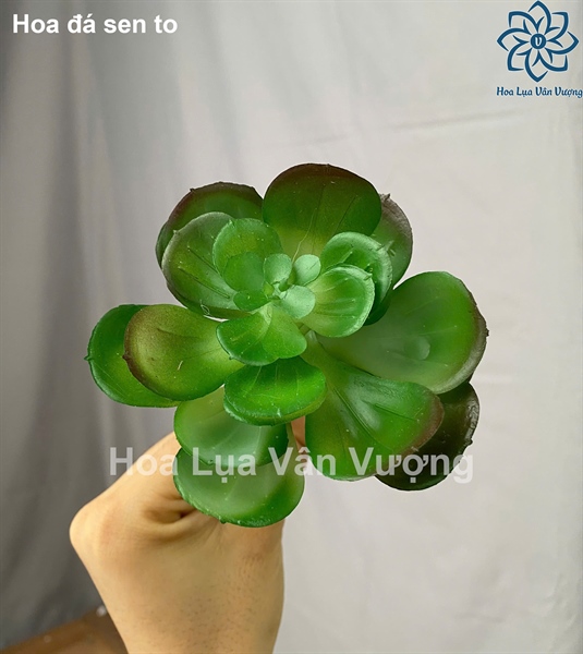 Hoa đá sen to - Hoa đá - Hoa Lụa Vân Vượng
