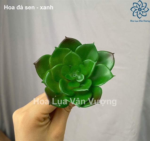 Hoa đá sen - Hoa đá - Hoa Lụa Vân Vượng