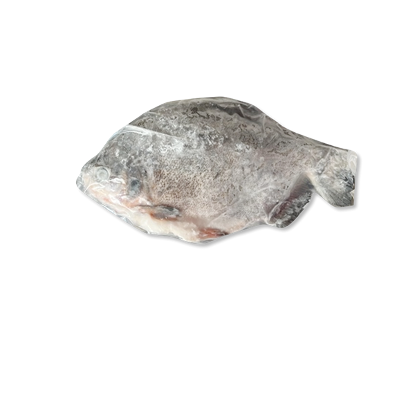 Cá Chim